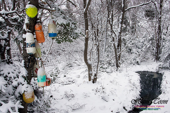 Late Winter Snowfall March 11,2016
