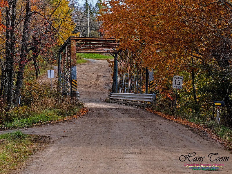 Nova Scotia in Fall 282
