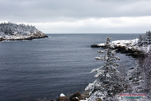 Late Winter Snowfall March 11,2016