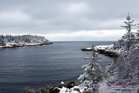 Late Winter Snowfall March 11,2016