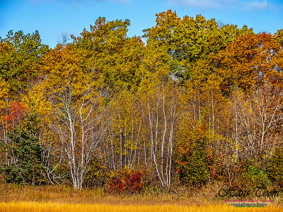 Nova Scotia in Fall 203