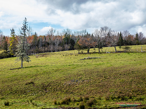 Nova Scotia in Fall 255