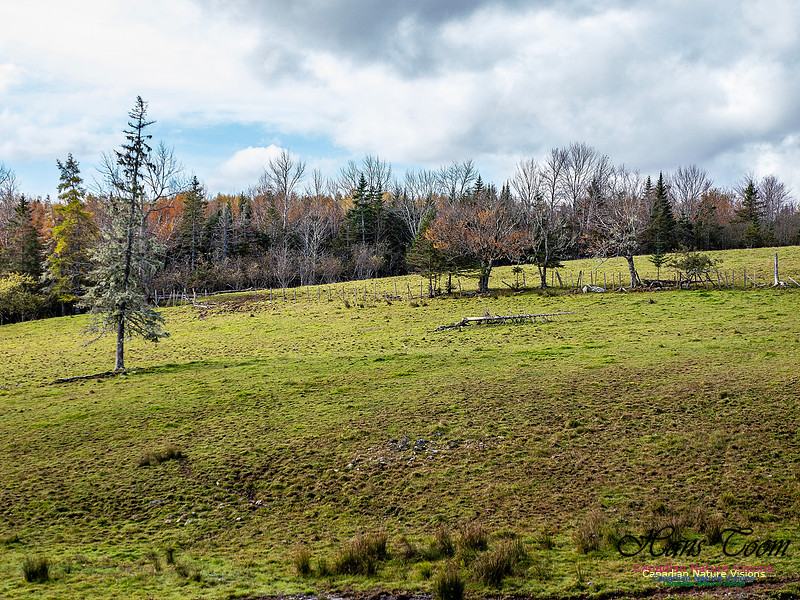 Nova Scotia in Fall 255