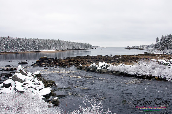 Late Winter Snowfall March 11,2016