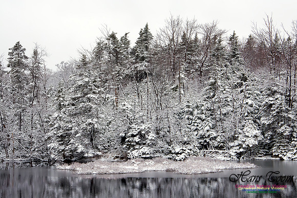 Late Winter Snowfall March 11,2016