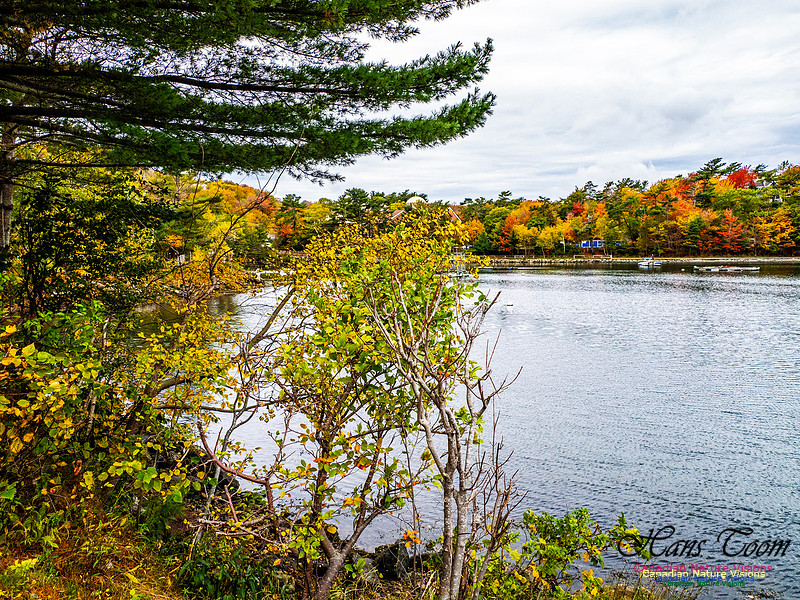 Nova Scotia in Fall 139
