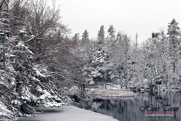 Late Winter Snowfall March 11,2016