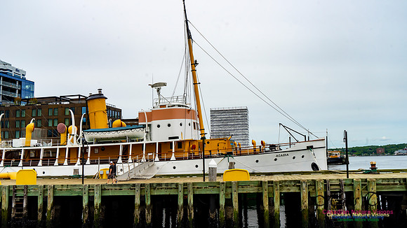 Halifax Waterfront Stroll 167