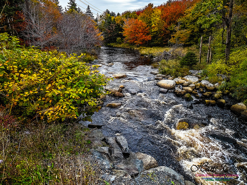 Nova Scotia in Fall 156