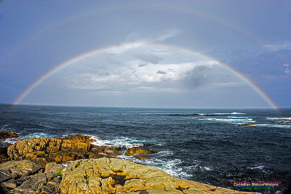 DoubleRainbow5