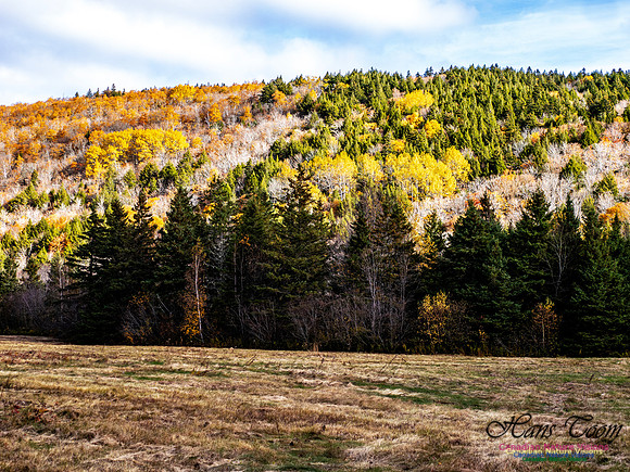Nova Scotia in Fall 229