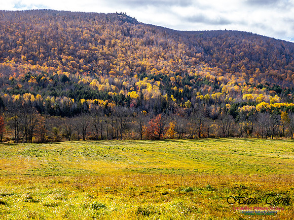Nova Scotia in Fall 218