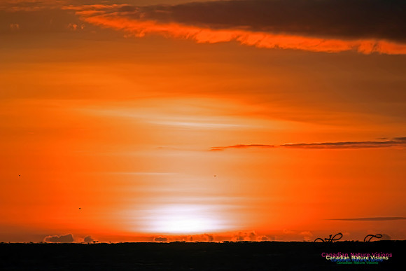 Winter Solstice December 21, 2015