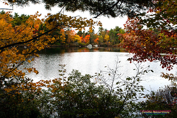 Sir Sanford Fleming Park