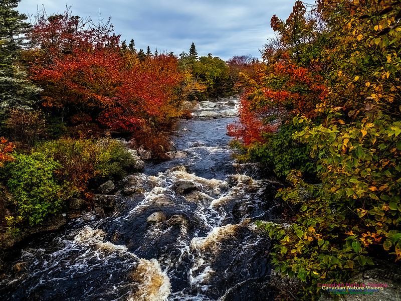 Nova Scotia in Fall 113