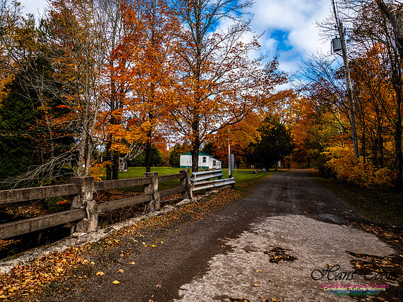 Nova Scotia in Fall 228