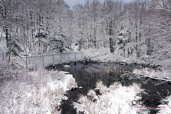Late Winter Snowfall March 11,2016