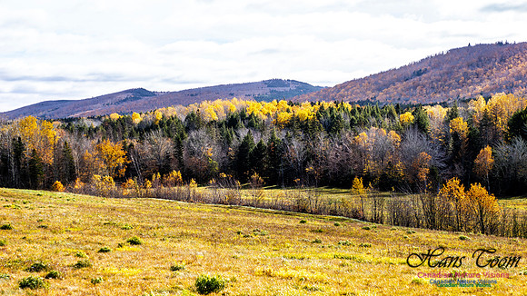 Nova Scotia in Fall 213