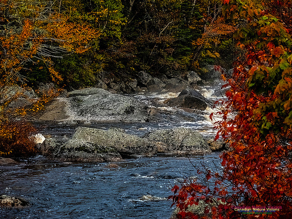 Nova Scotia in Fall 112