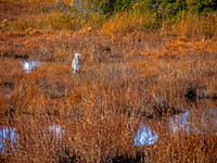 Nova Scotia in Fall 3