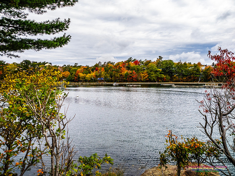 Nova Scotia in Fall 138