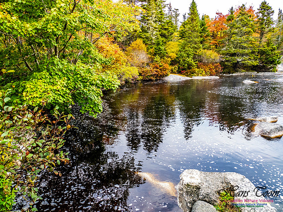 Nova Scotia in Fall 116