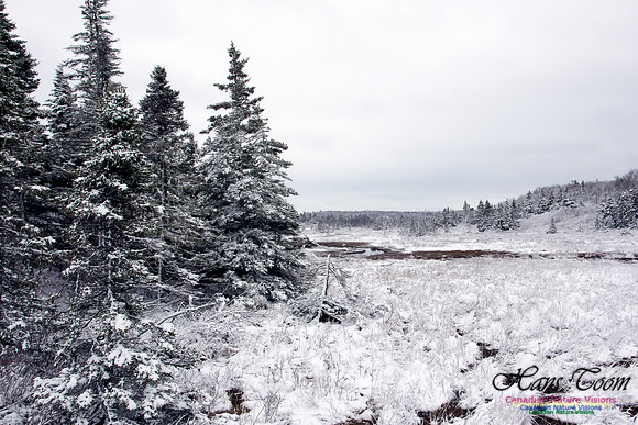 Late Winter Snowfall March 11,2016