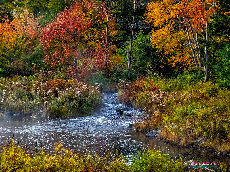 Nova Scotia in Fall 133