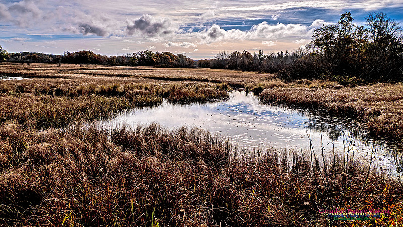 Nova Scotia in Fall 279