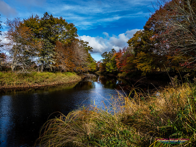 Nova Scotia in Fall 269