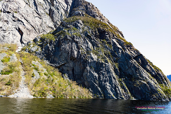Western Brook Pond 139