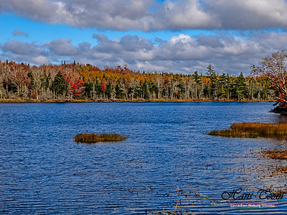 Nova Scotia in Fall 248