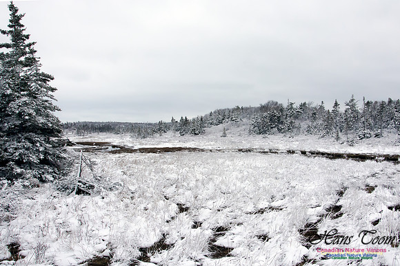 Late Winter Snowfall March 11,2016