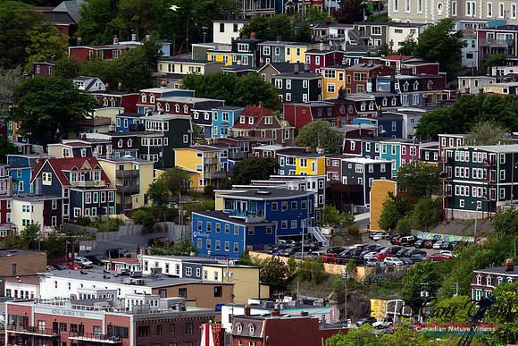St. John's, Newfoundland and Labrador