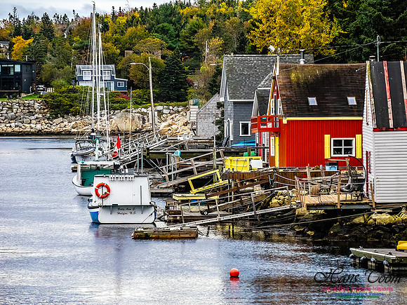 Nova Scotia in Fall 157