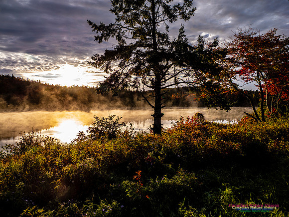 Nova Scotia in Fall 128