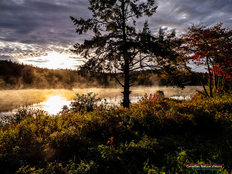 Nova Scotia in Fall 128