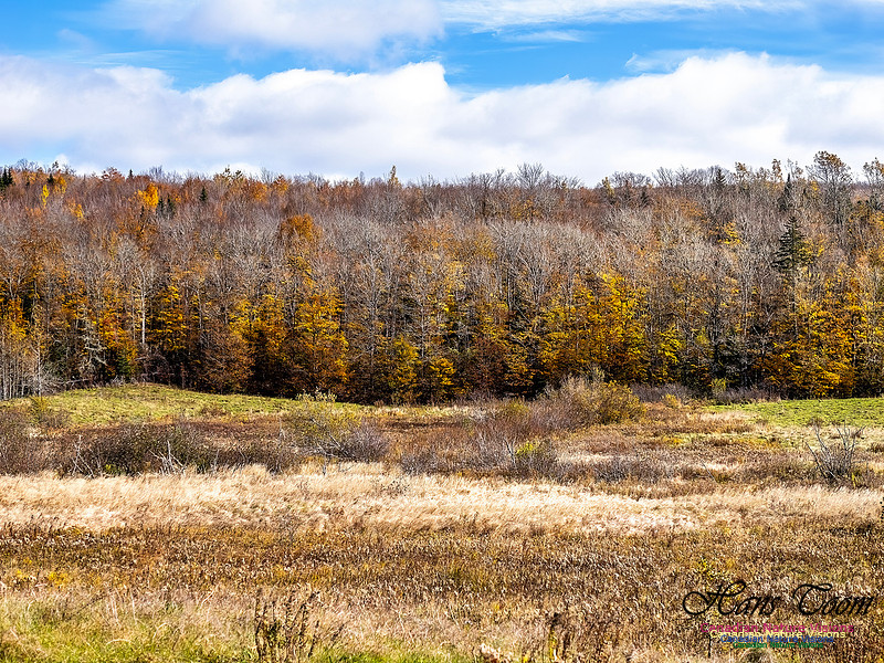 Nova Scotia in Fall 202