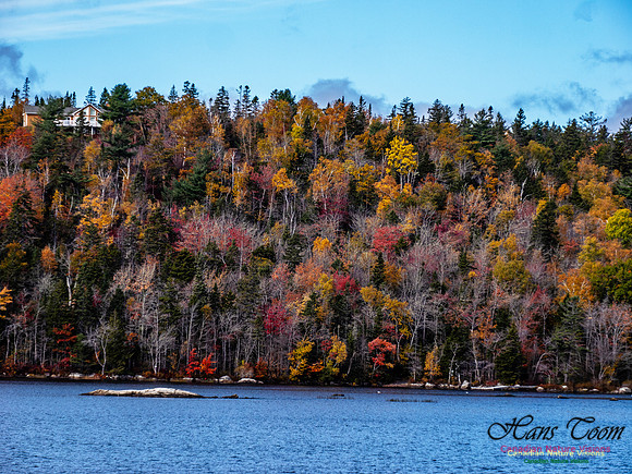 Nova Scotia in Fall 240