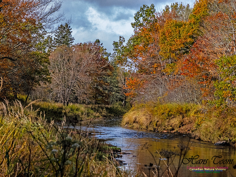 Nova Scotia in Fall 267