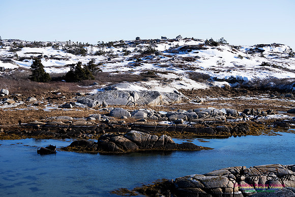 Coastal Barrens 100
