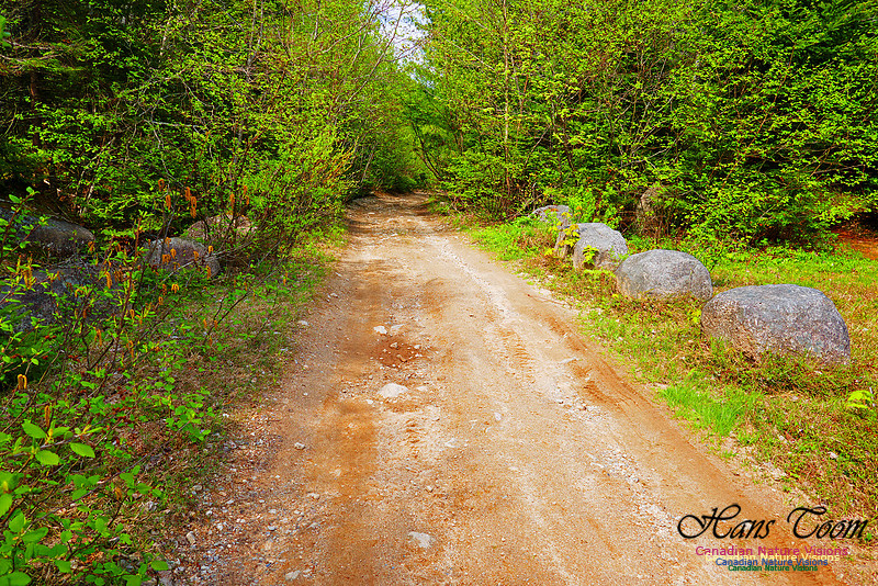 Old Annapolis Road Trail 2016