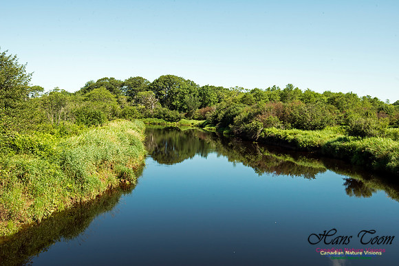 Musquodoboit River