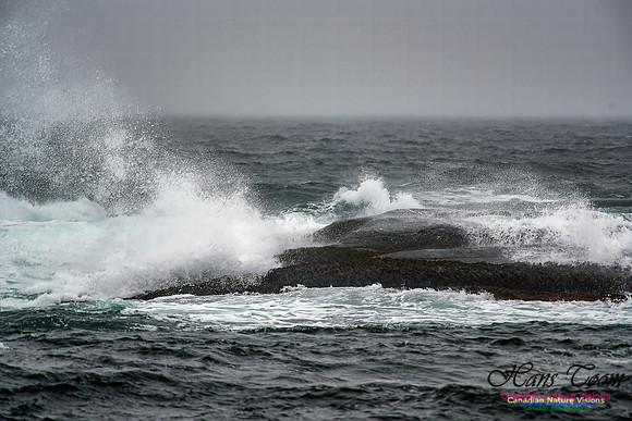 Nova Scotia Winter Scenes 116