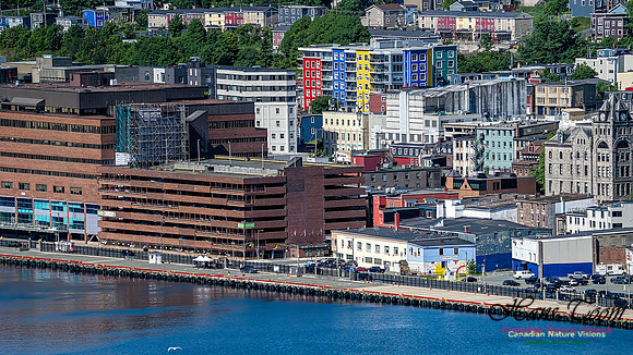 St. John's, Newfoundland 112