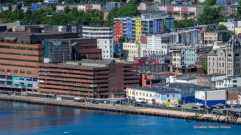 St. John's, Newfoundland 112