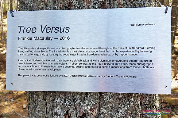 Tree Head Plaque