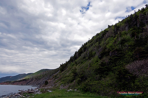 Cape Breton Highlands