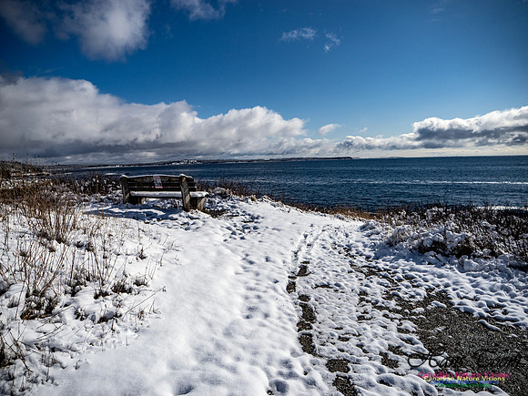 April Snow in Nova Scotia 224