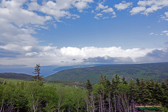Cape Breton Highlands